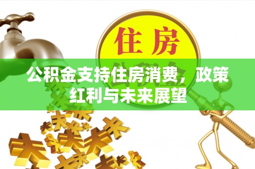 新房公积金支持住房消费，政策红利与未来展望