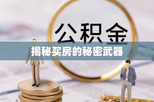 新房揭秘买房的秘密武器