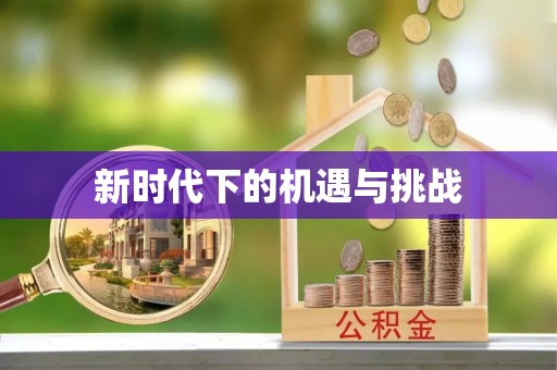 新房新时代下的机遇与挑战