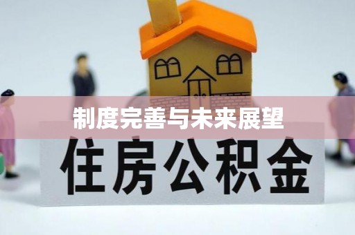 新房制度完善与未来展望