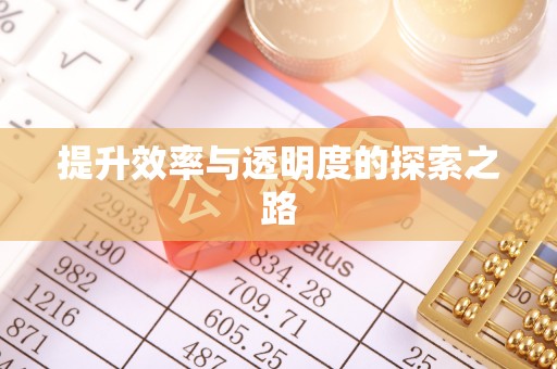 新房提升效率与透明度的探索之路