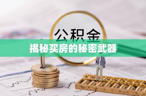 新房揭秘买房的秘密武器