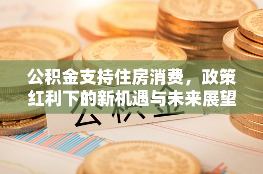 新房公积金支持住房消费，政策红利下的新机遇与未来展望