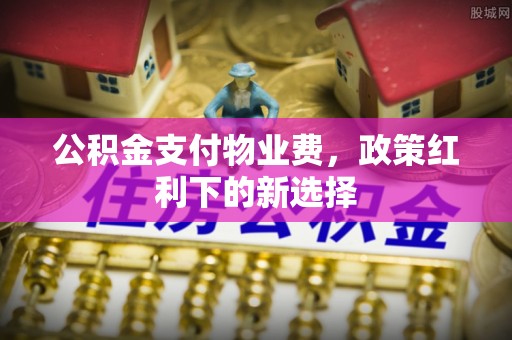 新房公积金支付物业费，政策红利下的新选择
