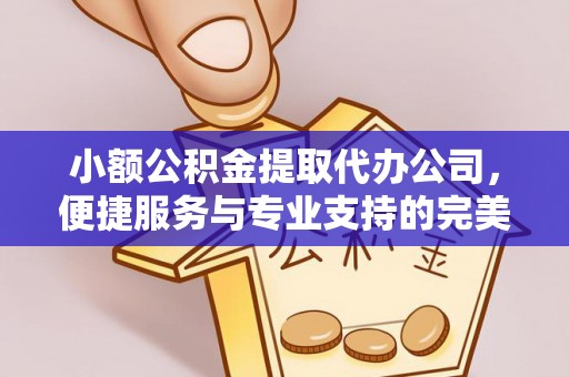 新房小额公积金提取代办公司，便捷服务与专业支持的完美结合