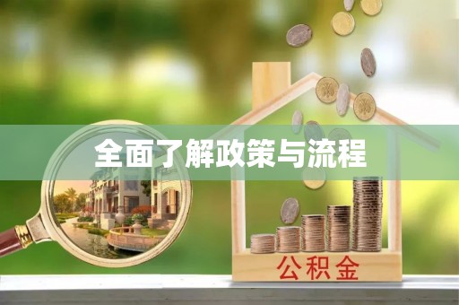 新房全面了解政策与流程