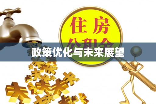 新房政策优化与未来展望