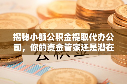 新房揭秘小额公积金提取代办公司，你的资金管家还是潜在风险？